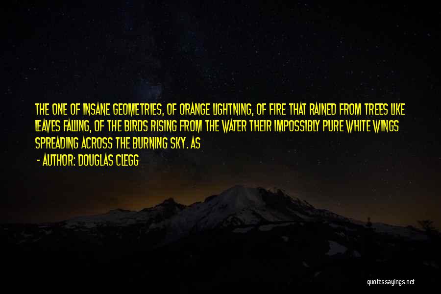 Douglas Clegg Quotes: The One Of Insane Geometries, Of Orange Lightning, Of Fire That Rained From Trees Like Leaves Falling, Of The Birds