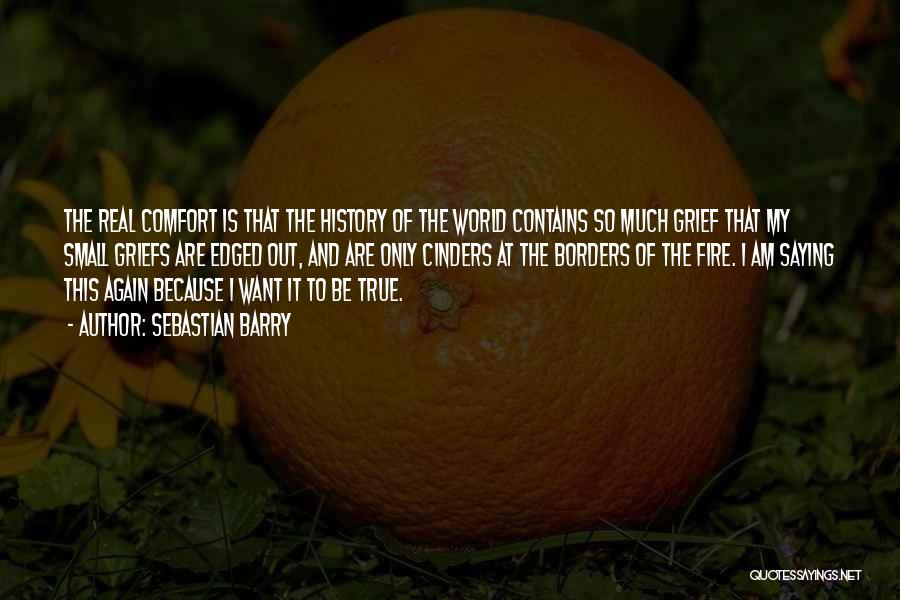 Sebastian Barry Quotes: The Real Comfort Is That The History Of The World Contains So Much Grief That My Small Griefs Are Edged