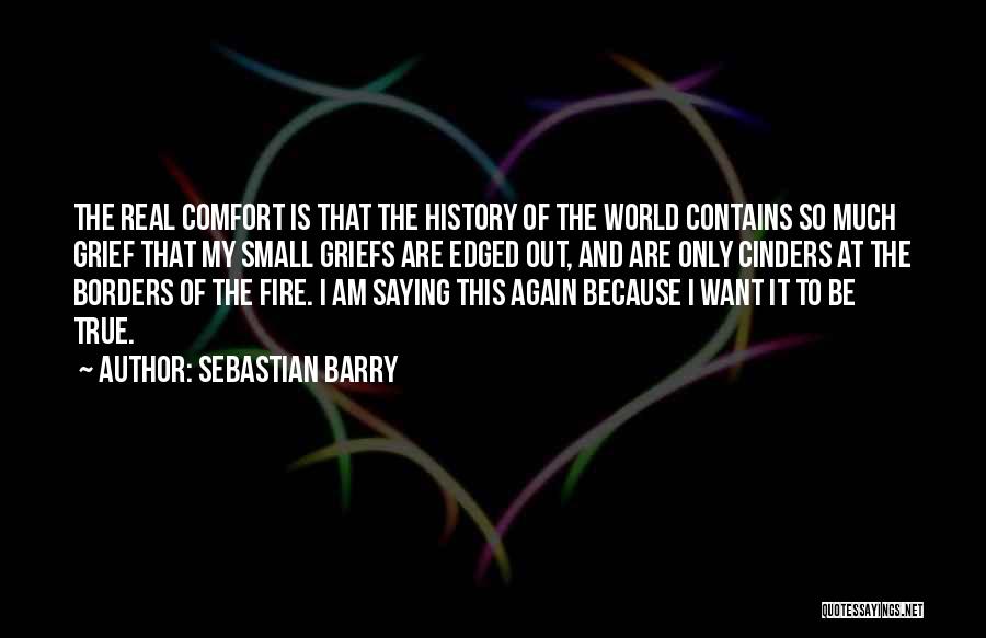 Sebastian Barry Quotes: The Real Comfort Is That The History Of The World Contains So Much Grief That My Small Griefs Are Edged