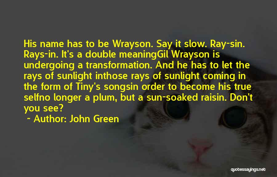 John Green Quotes: His Name Has To Be Wrayson. Say It Slow. Ray-sin. Rays-in. It's A Double Meaninggil Wrayson Is Undergoing A Transformation.