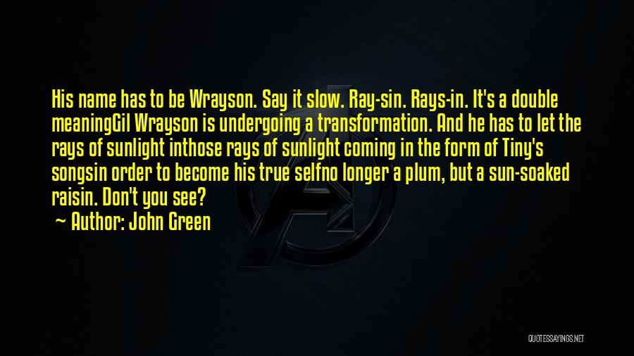 John Green Quotes: His Name Has To Be Wrayson. Say It Slow. Ray-sin. Rays-in. It's A Double Meaninggil Wrayson Is Undergoing A Transformation.