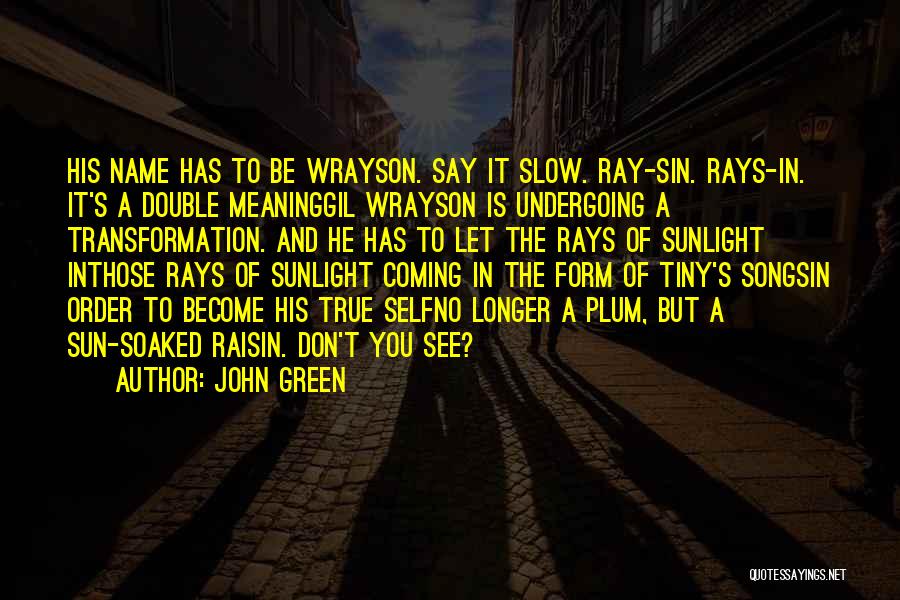 John Green Quotes: His Name Has To Be Wrayson. Say It Slow. Ray-sin. Rays-in. It's A Double Meaninggil Wrayson Is Undergoing A Transformation.