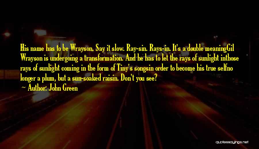 John Green Quotes: His Name Has To Be Wrayson. Say It Slow. Ray-sin. Rays-in. It's A Double Meaninggil Wrayson Is Undergoing A Transformation.