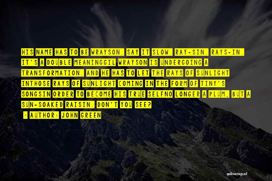 John Green Quotes: His Name Has To Be Wrayson. Say It Slow. Ray-sin. Rays-in. It's A Double Meaninggil Wrayson Is Undergoing A Transformation.