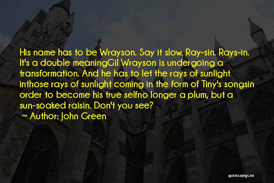 John Green Quotes: His Name Has To Be Wrayson. Say It Slow. Ray-sin. Rays-in. It's A Double Meaninggil Wrayson Is Undergoing A Transformation.