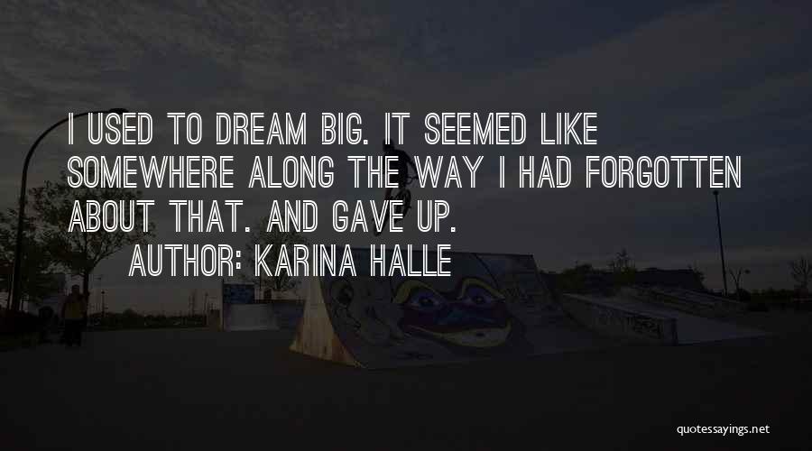 Karina Halle Quotes: I Used To Dream Big. It Seemed Like Somewhere Along The Way I Had Forgotten About That. And Gave Up.