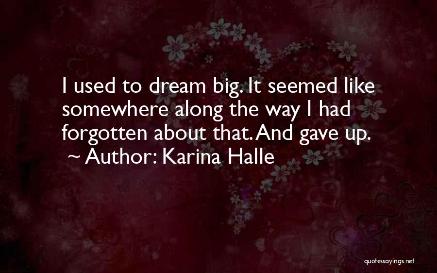 Karina Halle Quotes: I Used To Dream Big. It Seemed Like Somewhere Along The Way I Had Forgotten About That. And Gave Up.