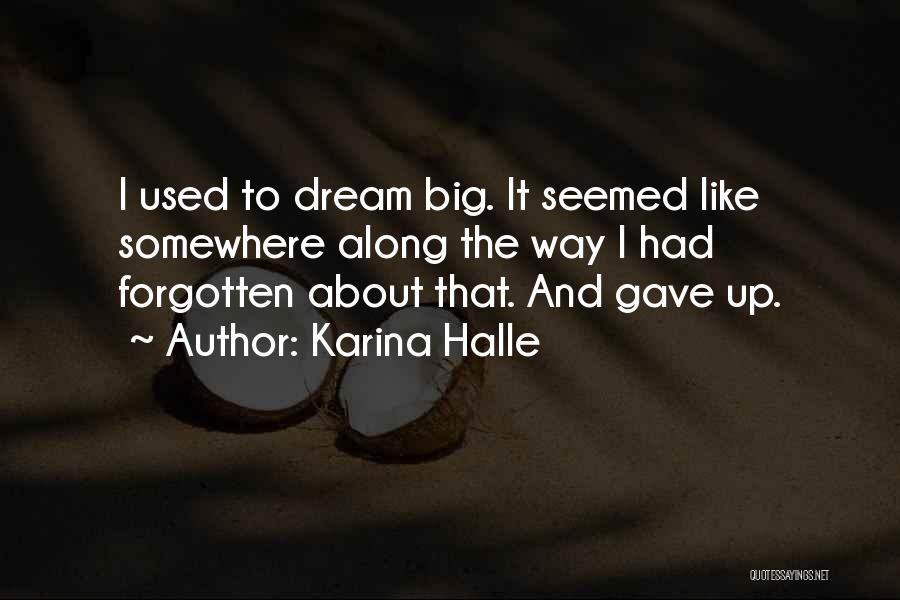 Karina Halle Quotes: I Used To Dream Big. It Seemed Like Somewhere Along The Way I Had Forgotten About That. And Gave Up.