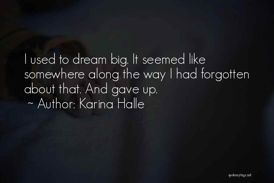 Karina Halle Quotes: I Used To Dream Big. It Seemed Like Somewhere Along The Way I Had Forgotten About That. And Gave Up.
