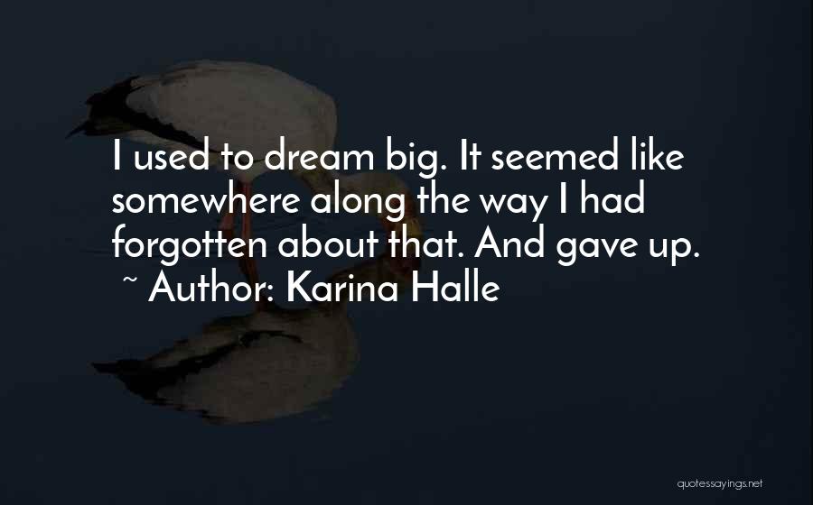 Karina Halle Quotes: I Used To Dream Big. It Seemed Like Somewhere Along The Way I Had Forgotten About That. And Gave Up.