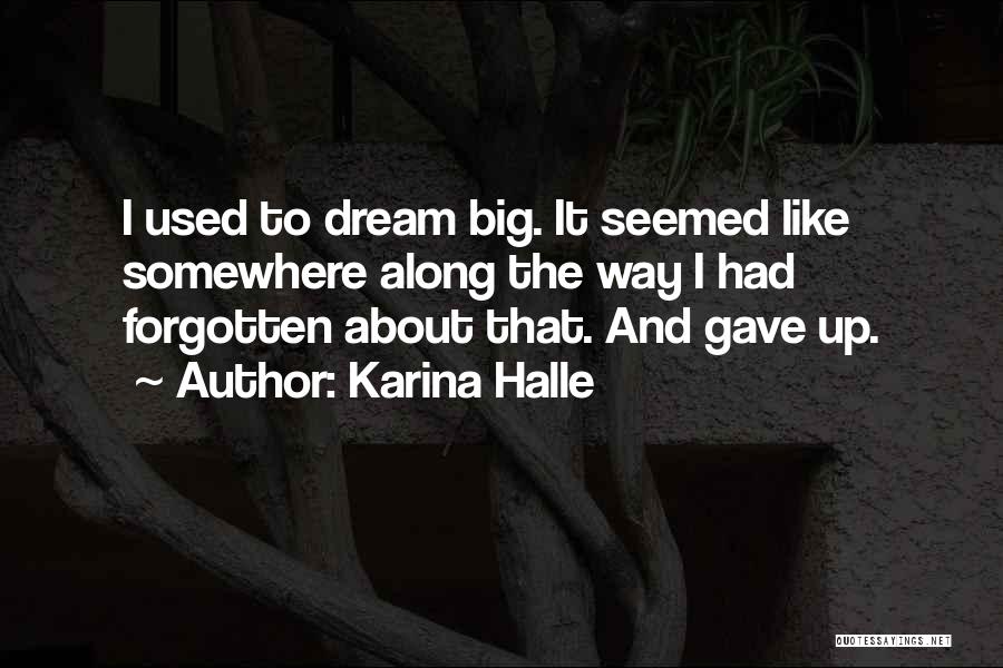 Karina Halle Quotes: I Used To Dream Big. It Seemed Like Somewhere Along The Way I Had Forgotten About That. And Gave Up.