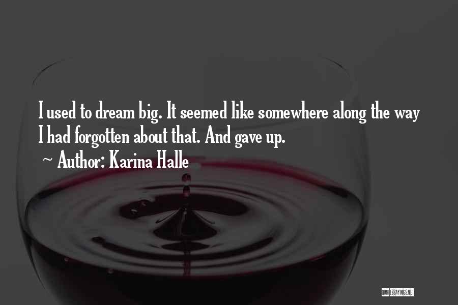 Karina Halle Quotes: I Used To Dream Big. It Seemed Like Somewhere Along The Way I Had Forgotten About That. And Gave Up.