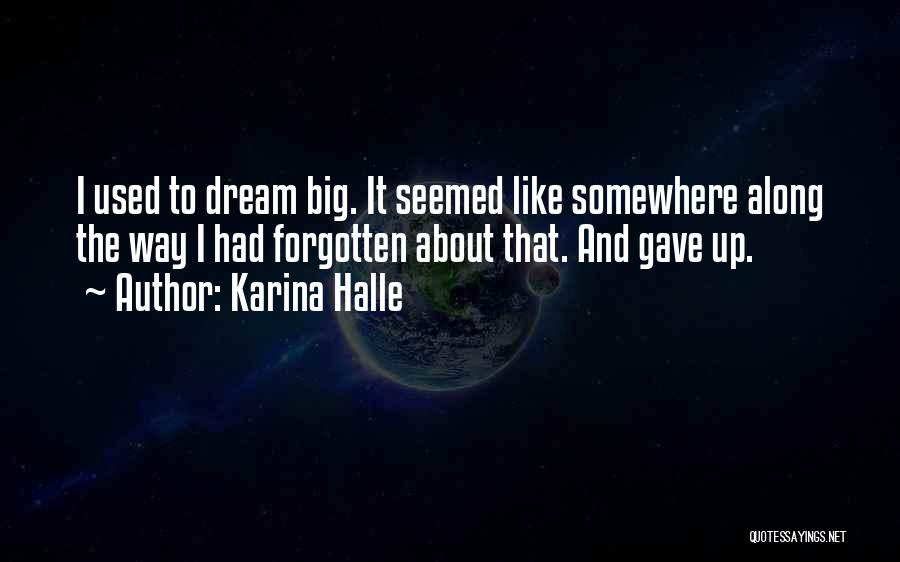 Karina Halle Quotes: I Used To Dream Big. It Seemed Like Somewhere Along The Way I Had Forgotten About That. And Gave Up.