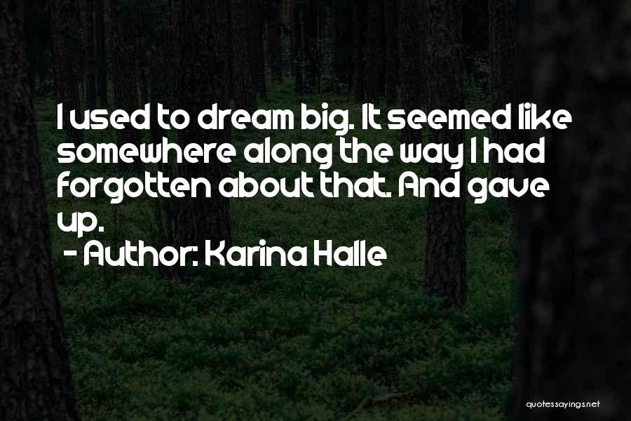 Karina Halle Quotes: I Used To Dream Big. It Seemed Like Somewhere Along The Way I Had Forgotten About That. And Gave Up.