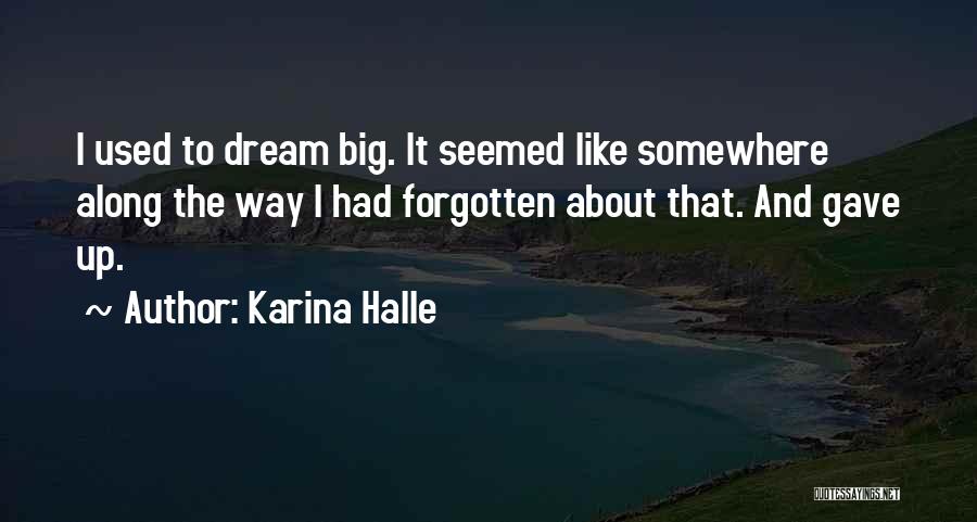 Karina Halle Quotes: I Used To Dream Big. It Seemed Like Somewhere Along The Way I Had Forgotten About That. And Gave Up.