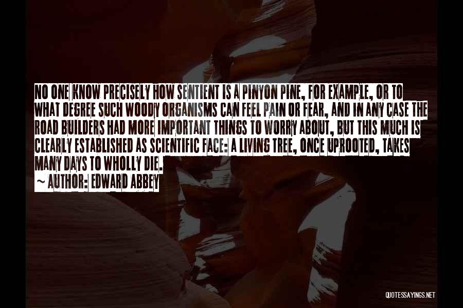 Edward Abbey Quotes: No One Know Precisely How Sentient Is A Pinyon Pine, For Example, Or To What Degree Such Woody Organisms Can