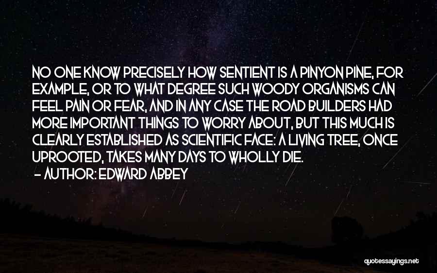 Edward Abbey Quotes: No One Know Precisely How Sentient Is A Pinyon Pine, For Example, Or To What Degree Such Woody Organisms Can
