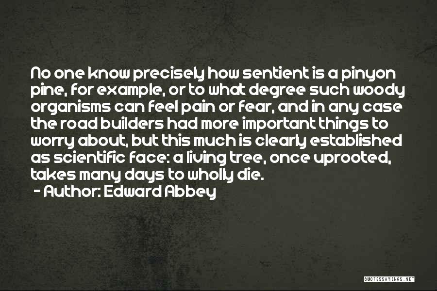 Edward Abbey Quotes: No One Know Precisely How Sentient Is A Pinyon Pine, For Example, Or To What Degree Such Woody Organisms Can