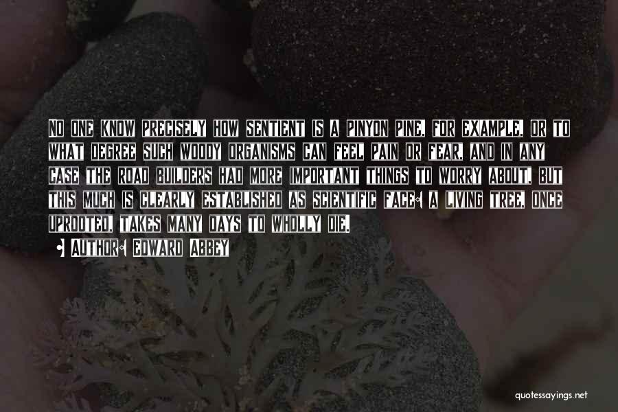 Edward Abbey Quotes: No One Know Precisely How Sentient Is A Pinyon Pine, For Example, Or To What Degree Such Woody Organisms Can