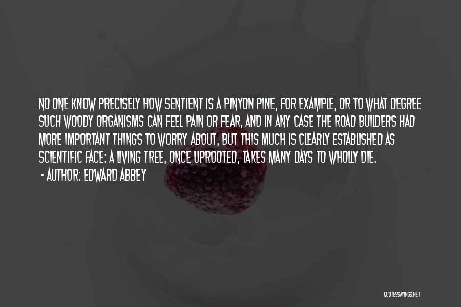 Edward Abbey Quotes: No One Know Precisely How Sentient Is A Pinyon Pine, For Example, Or To What Degree Such Woody Organisms Can