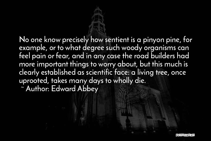 Edward Abbey Quotes: No One Know Precisely How Sentient Is A Pinyon Pine, For Example, Or To What Degree Such Woody Organisms Can