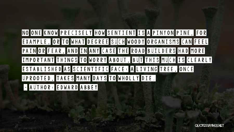 Edward Abbey Quotes: No One Know Precisely How Sentient Is A Pinyon Pine, For Example, Or To What Degree Such Woody Organisms Can