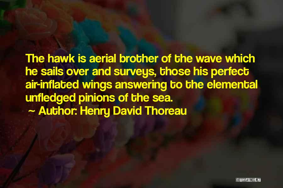 Henry David Thoreau Quotes: The Hawk Is Aerial Brother Of The Wave Which He Sails Over And Surveys, Those His Perfect Air-inflated Wings Answering