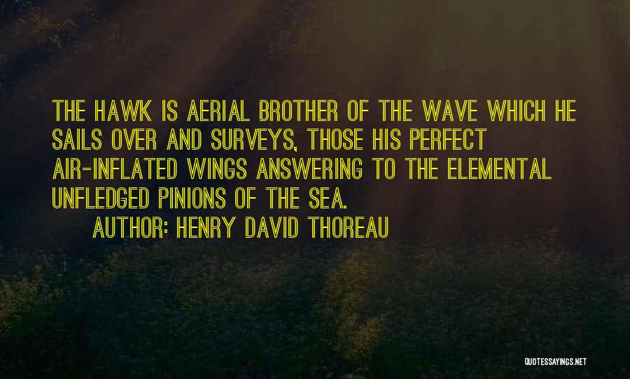 Henry David Thoreau Quotes: The Hawk Is Aerial Brother Of The Wave Which He Sails Over And Surveys, Those His Perfect Air-inflated Wings Answering