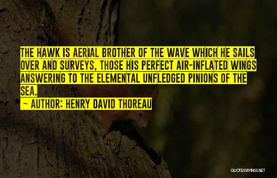 Henry David Thoreau Quotes: The Hawk Is Aerial Brother Of The Wave Which He Sails Over And Surveys, Those His Perfect Air-inflated Wings Answering