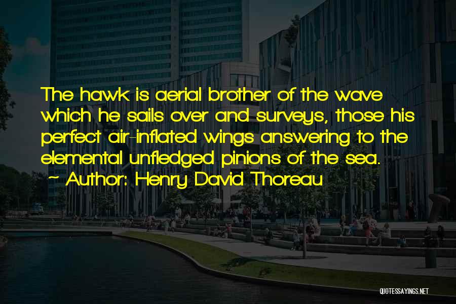 Henry David Thoreau Quotes: The Hawk Is Aerial Brother Of The Wave Which He Sails Over And Surveys, Those His Perfect Air-inflated Wings Answering
