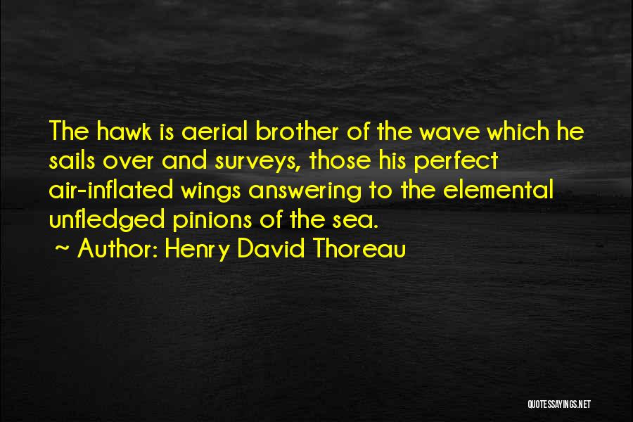 Henry David Thoreau Quotes: The Hawk Is Aerial Brother Of The Wave Which He Sails Over And Surveys, Those His Perfect Air-inflated Wings Answering