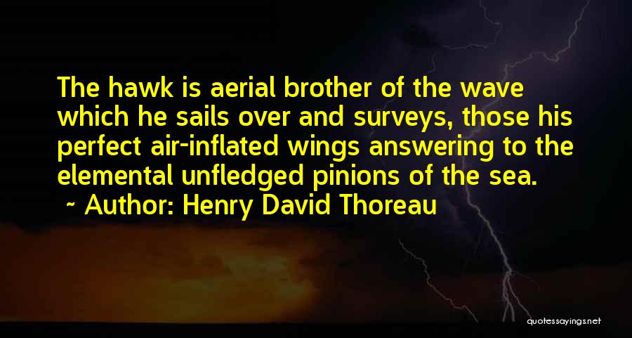 Henry David Thoreau Quotes: The Hawk Is Aerial Brother Of The Wave Which He Sails Over And Surveys, Those His Perfect Air-inflated Wings Answering