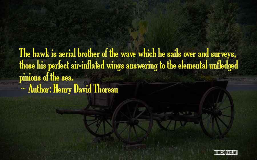 Henry David Thoreau Quotes: The Hawk Is Aerial Brother Of The Wave Which He Sails Over And Surveys, Those His Perfect Air-inflated Wings Answering