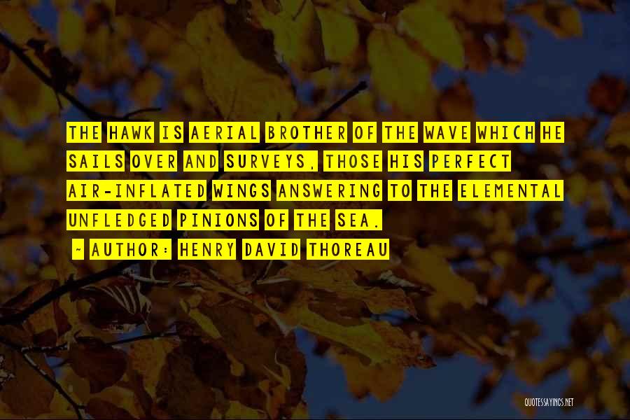 Henry David Thoreau Quotes: The Hawk Is Aerial Brother Of The Wave Which He Sails Over And Surveys, Those His Perfect Air-inflated Wings Answering