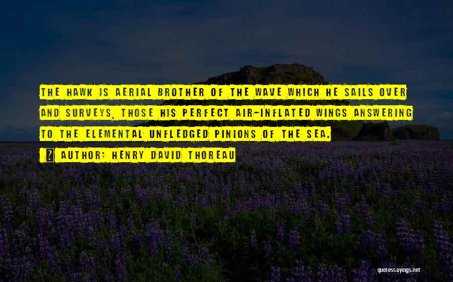 Henry David Thoreau Quotes: The Hawk Is Aerial Brother Of The Wave Which He Sails Over And Surveys, Those His Perfect Air-inflated Wings Answering