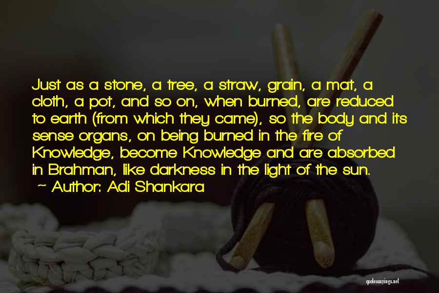 Adi Shankara Quotes: Just As A Stone, A Tree, A Straw, Grain, A Mat, A Cloth, A Pot, And So On, When Burned,