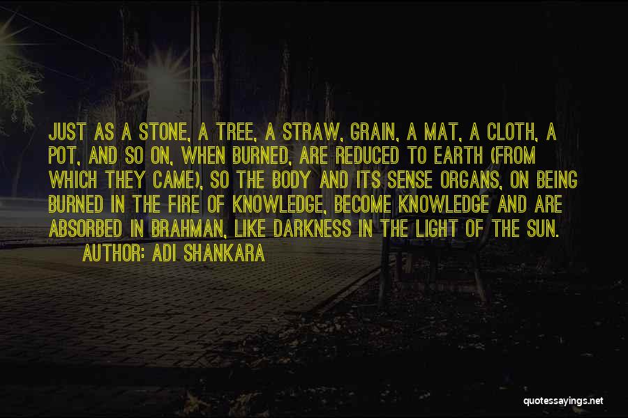Adi Shankara Quotes: Just As A Stone, A Tree, A Straw, Grain, A Mat, A Cloth, A Pot, And So On, When Burned,