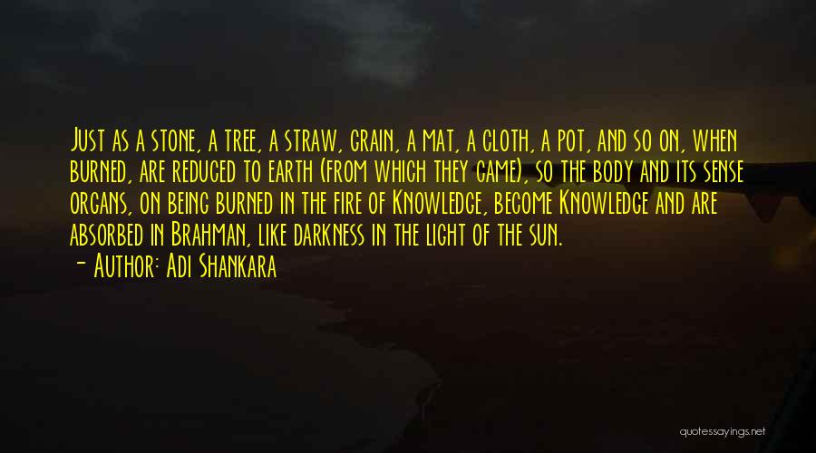 Adi Shankara Quotes: Just As A Stone, A Tree, A Straw, Grain, A Mat, A Cloth, A Pot, And So On, When Burned,