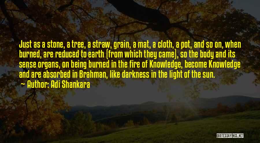 Adi Shankara Quotes: Just As A Stone, A Tree, A Straw, Grain, A Mat, A Cloth, A Pot, And So On, When Burned,