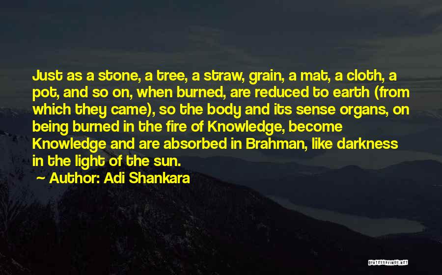 Adi Shankara Quotes: Just As A Stone, A Tree, A Straw, Grain, A Mat, A Cloth, A Pot, And So On, When Burned,