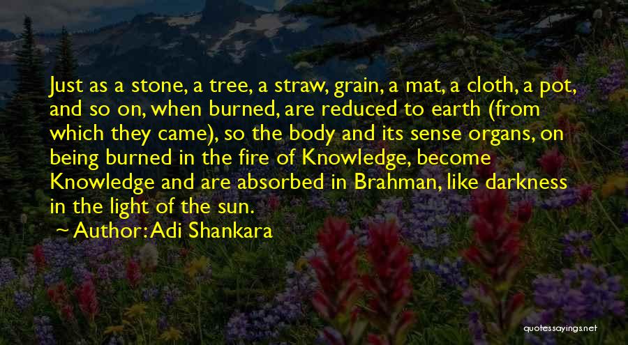 Adi Shankara Quotes: Just As A Stone, A Tree, A Straw, Grain, A Mat, A Cloth, A Pot, And So On, When Burned,