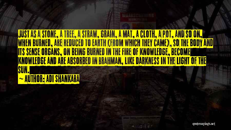 Adi Shankara Quotes: Just As A Stone, A Tree, A Straw, Grain, A Mat, A Cloth, A Pot, And So On, When Burned,