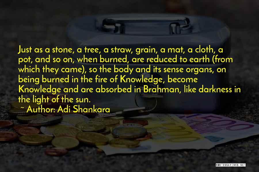 Adi Shankara Quotes: Just As A Stone, A Tree, A Straw, Grain, A Mat, A Cloth, A Pot, And So On, When Burned,