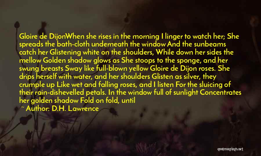 D.H. Lawrence Quotes: Gloire De Dijonwhen She Rises In The Morning I Linger To Watch Her; She Spreads The Bath-cloth Underneath The Window