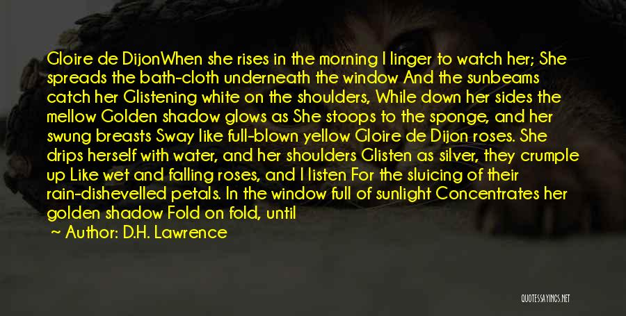 D.H. Lawrence Quotes: Gloire De Dijonwhen She Rises In The Morning I Linger To Watch Her; She Spreads The Bath-cloth Underneath The Window