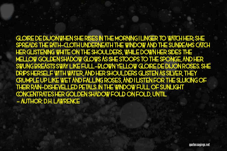 D.H. Lawrence Quotes: Gloire De Dijonwhen She Rises In The Morning I Linger To Watch Her; She Spreads The Bath-cloth Underneath The Window