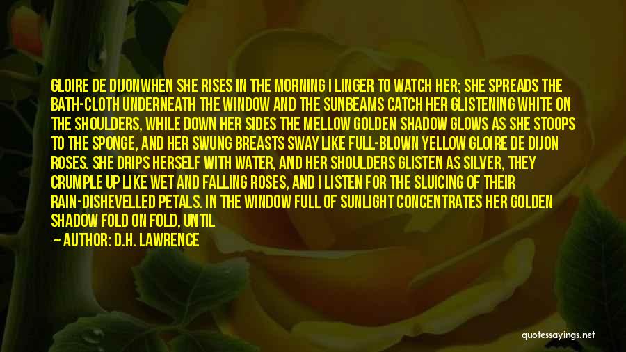 D.H. Lawrence Quotes: Gloire De Dijonwhen She Rises In The Morning I Linger To Watch Her; She Spreads The Bath-cloth Underneath The Window