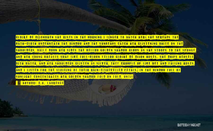 D.H. Lawrence Quotes: Gloire De Dijonwhen She Rises In The Morning I Linger To Watch Her; She Spreads The Bath-cloth Underneath The Window
