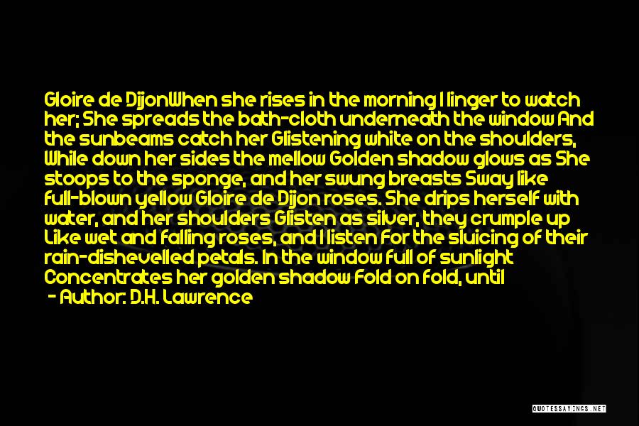 D.H. Lawrence Quotes: Gloire De Dijonwhen She Rises In The Morning I Linger To Watch Her; She Spreads The Bath-cloth Underneath The Window