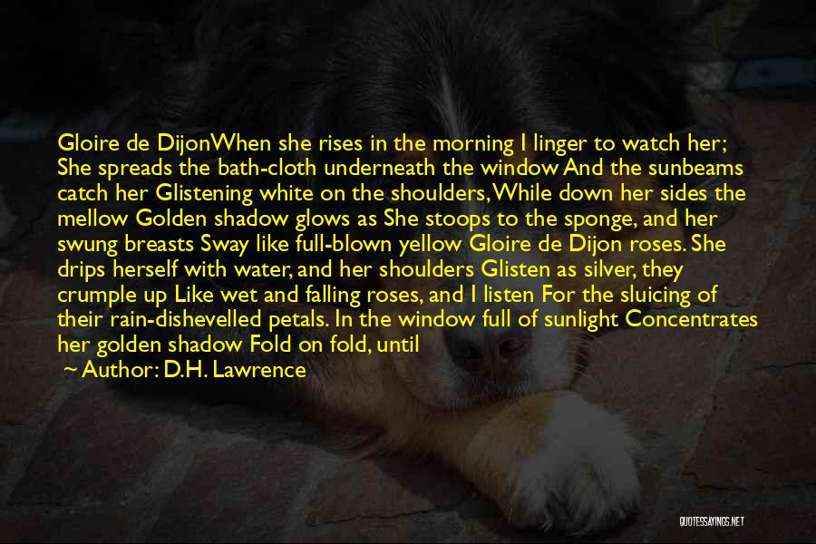 D.H. Lawrence Quotes: Gloire De Dijonwhen She Rises In The Morning I Linger To Watch Her; She Spreads The Bath-cloth Underneath The Window